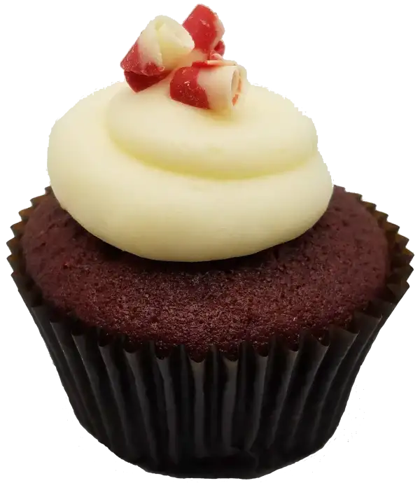 Classic US southern red velvet cupcake with a vanilla cream cheese frosting topped with red and white chocolate curls.